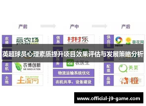 英超球员心理素质提升项目效果评估与发展策略分析