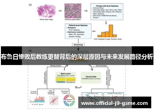 布鲁日惨败后教练更替背后的深层原因与未来发展路径分析