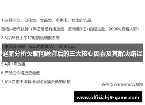 赵鹏分析欠薪问题背后的三大核心因素及其解决路径