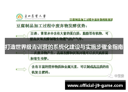 打造世界级青训营的系统化建设与实施步骤全指南