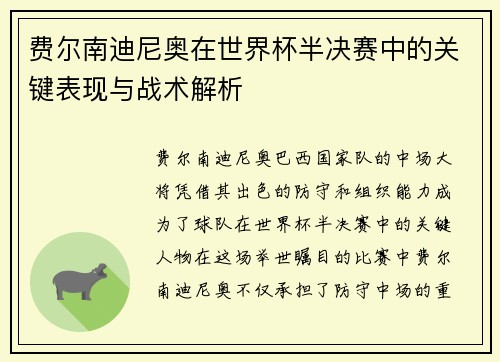 费尔南迪尼奥在世界杯半决赛中的关键表现与战术解析