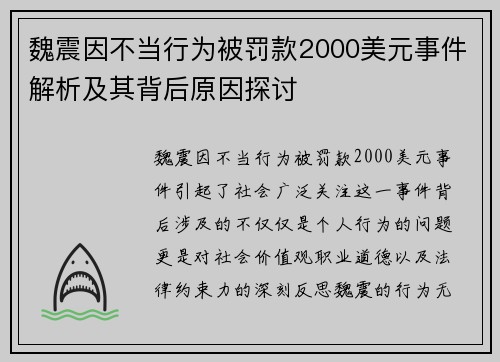 魏震因不当行为被罚款2000美元事件解析及其背后原因探讨 魏震因不当行为被罚款2000美元事件解析及其背后原因探讨